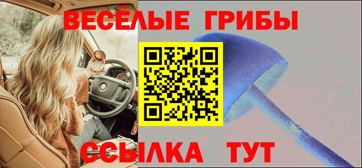 Псилоцибиновые грибы Psilocybine cubensis  Вход с VPN  Мичуринск 